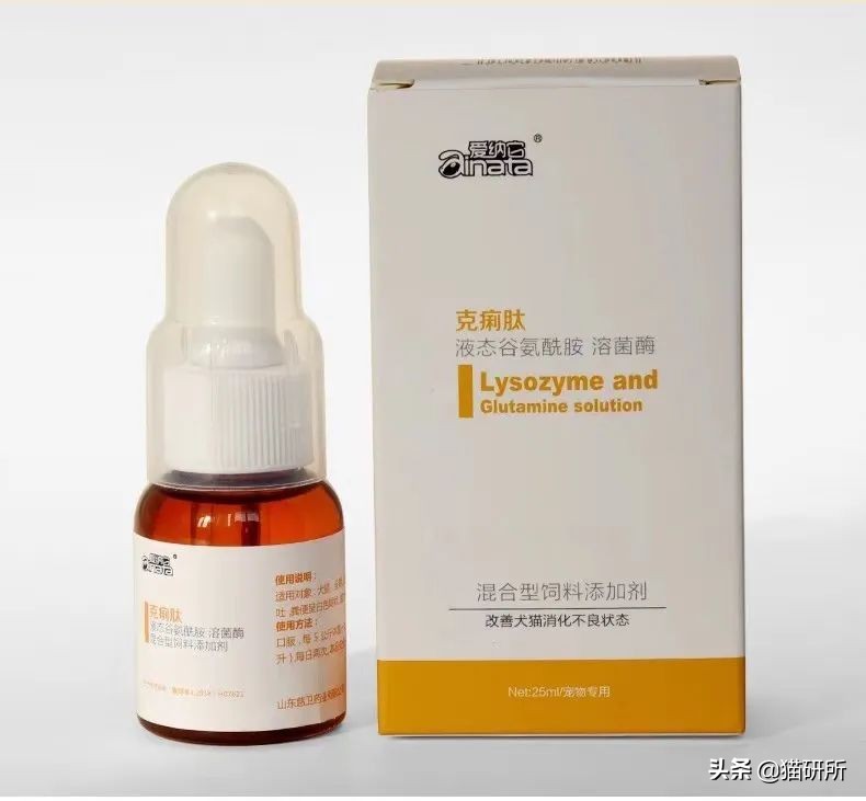 一学就会的喂药秘笈！轻松解决猫咪的吃药难题