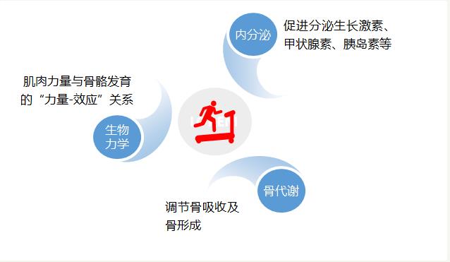 不要错过孩子的每一个成长的阶段,不要错过孩子成长的关键期7岁