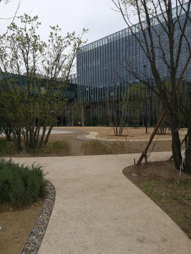 北京望京cbd什么时候开发的,北京望京核心地段