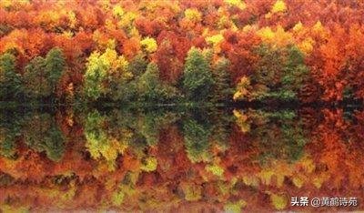 梧桐《喝火令》18首：香起白裙飘逸，邀请对下句？