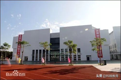 “人气王”宝安中学最强攻略！有宝中梦的不要错过