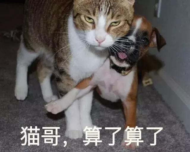 #净网2019#【小苏来吐槽】男子偷鸡是受到“召唤”，嫌疑人网吧被抓：这局打完！