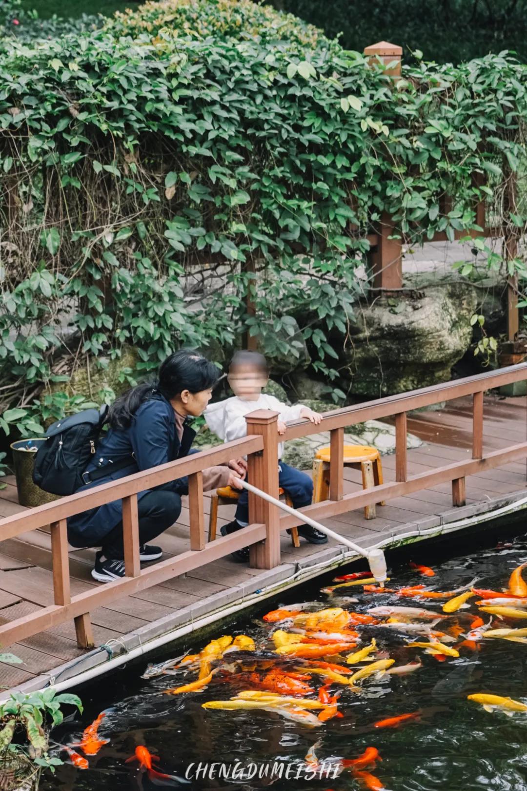 成都新都是一个怎么样的地方,成都市新都区缺点