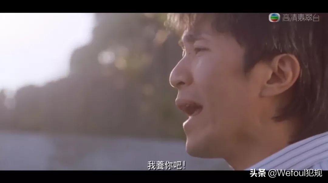 杨震足彩最新推荐,杨震足彩最新一期