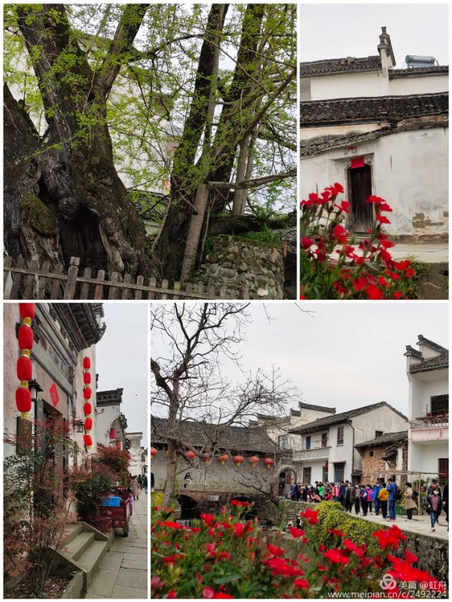 方虹将乐,方虹灯饰店