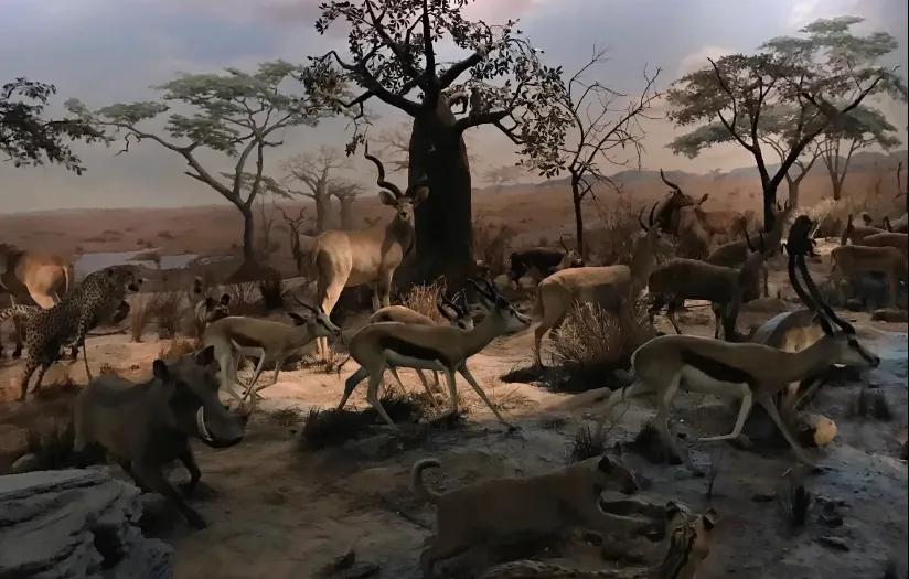 上海科技馆官网,上海科技馆球幕影院