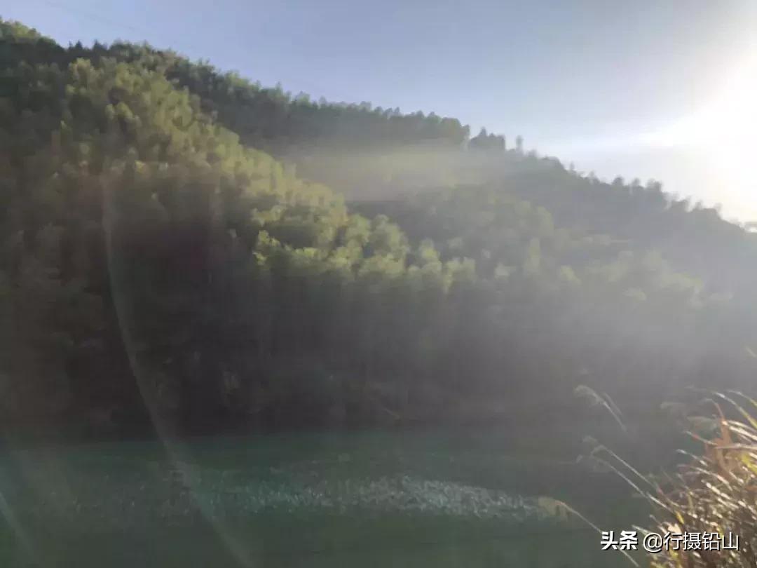 春游|五府山踏青蜜蜂谷