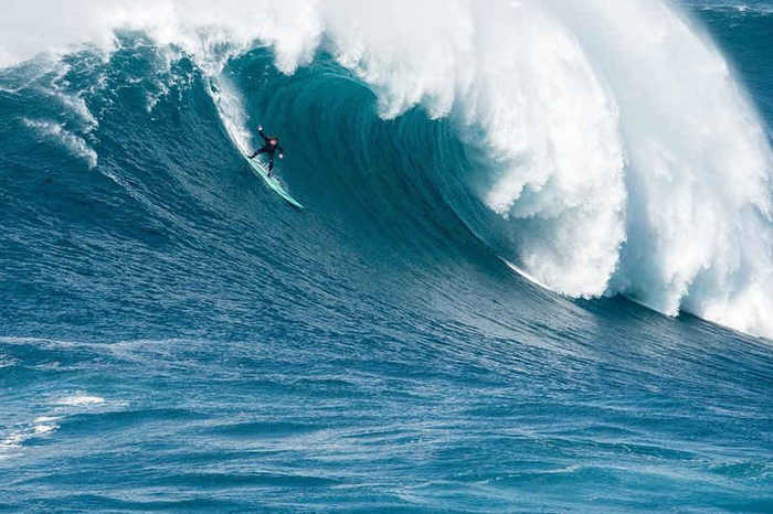 最好看的网络官文小说排行榜,经典网络小说官文