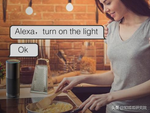 国产智能插座被美国专利侵权,国产智能插座专利