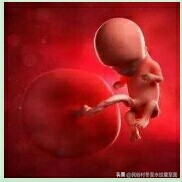 差点被勒死,才出生就丢在冰冷的地面,你相信这是我亲妈干的吗?