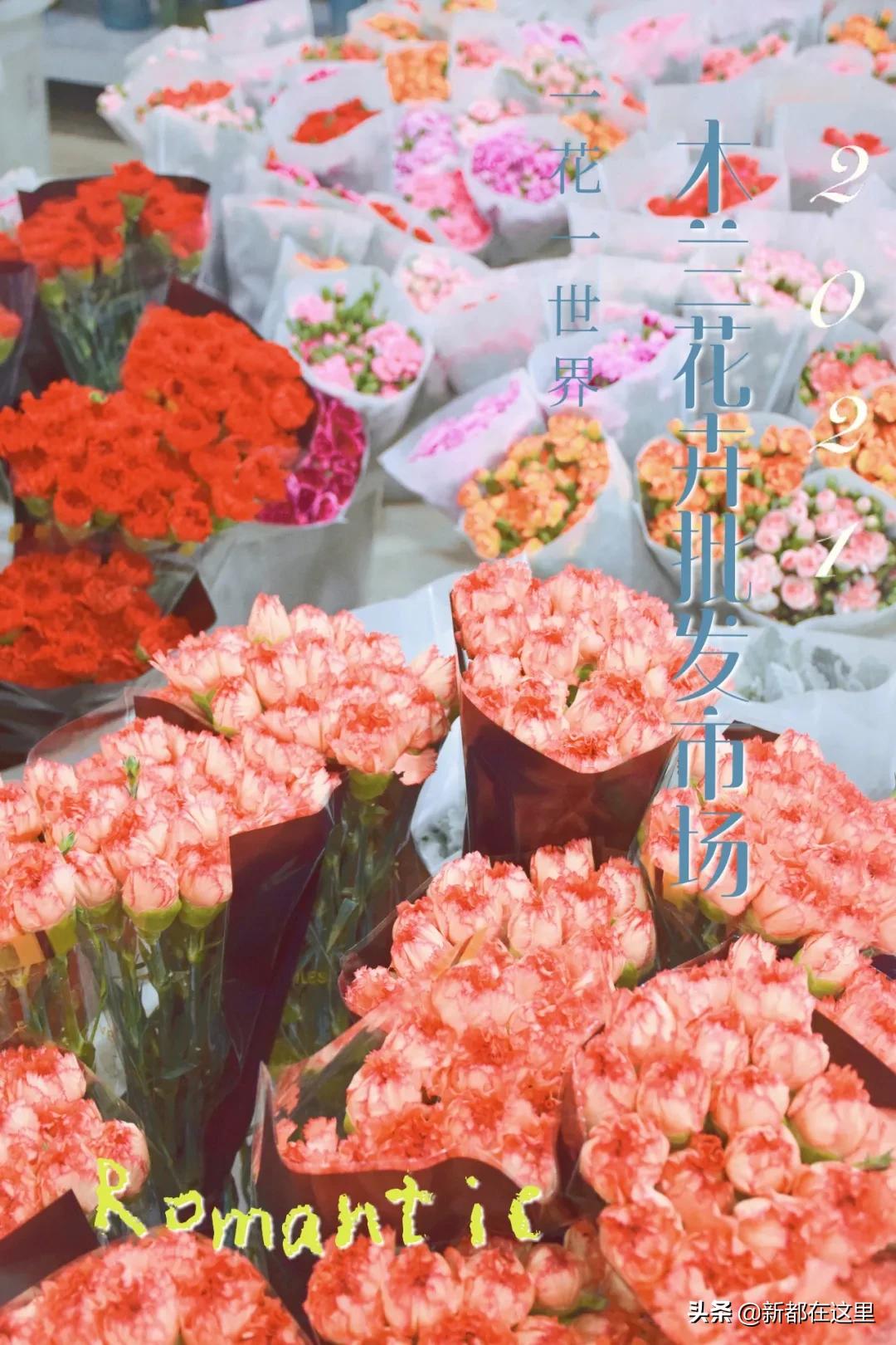 三圣花卉市场正规吗,三圣乡花卉市场今日现状