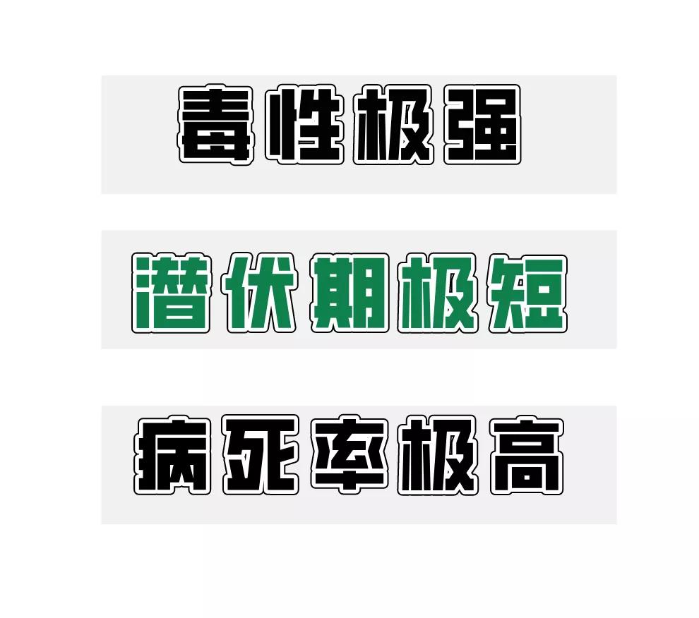 一家9口人食物中毒,一家9口食物中毒最新