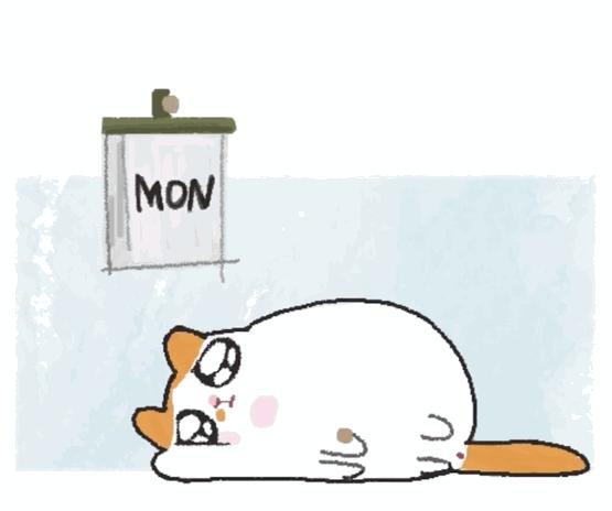 宠物生活节南京,南京宠物文化节活动