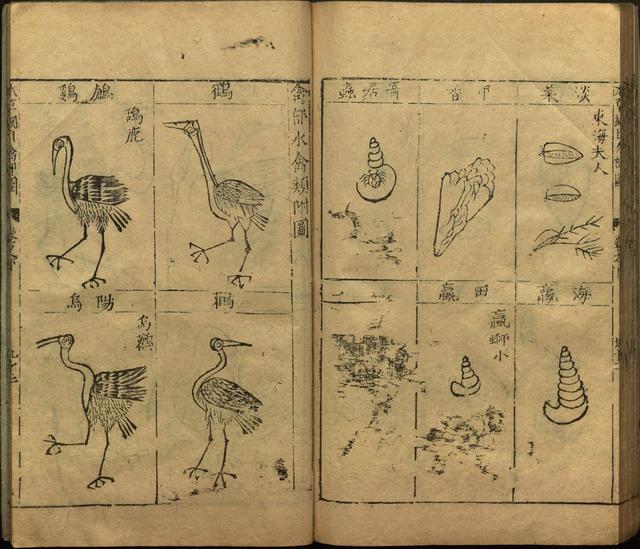 李时珍本草纲目书目录,李时珍本草纲目下卷