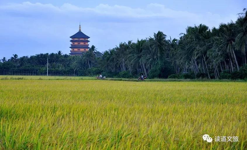 农业种植如何设计项目融资,个人投资农业项目怎么起步