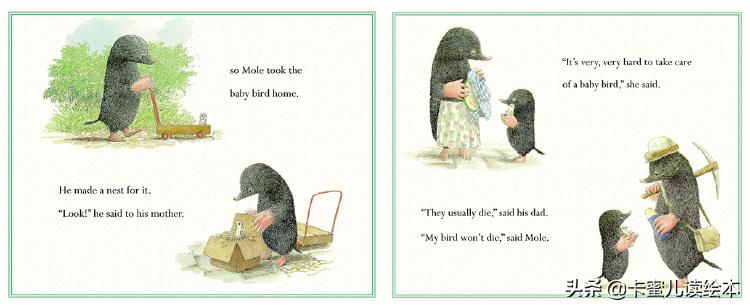 英文绘本动画故事完整版,英语绘本鼹鼠和小鸟