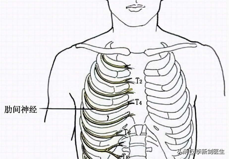 穴位密码膻中穴,穴位密码胆经