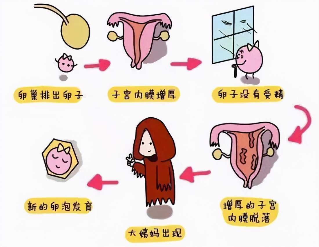 月经期到底要不要健身,月经期要不要坚持运动