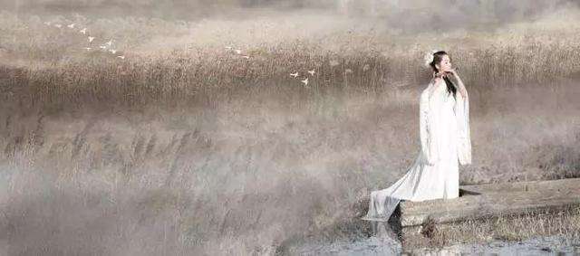 杜甫的千古名句露从今夜白,杜甫的白露诗