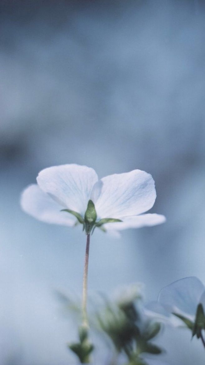 便宜好用老膏药,腰疼贴啥牌子膏药好便宜又好用
