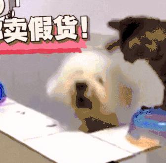 耐克的假货多还是彪马假货多,假耐克假彪马