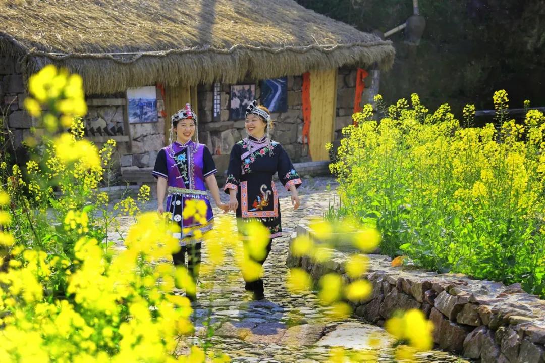 台州藏在深山里的世外桃源,台州家乡春天的美景