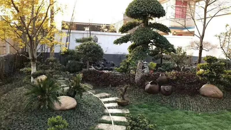 行行出状元都是民间的奇才,行行出状元创业