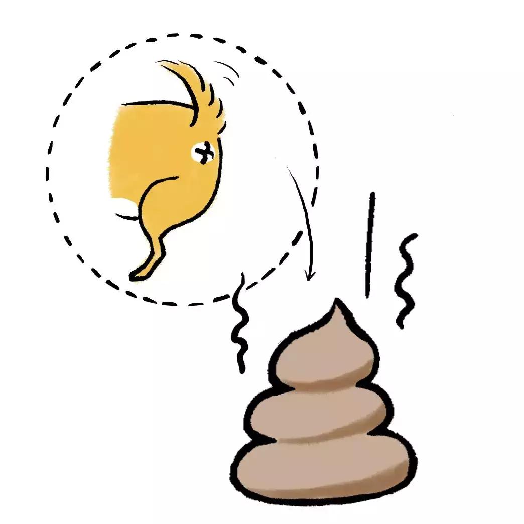 垃圾分类重难点,垃圾分类知识分享