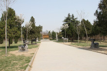 安徽亳州城市,中国百强城市亳州市