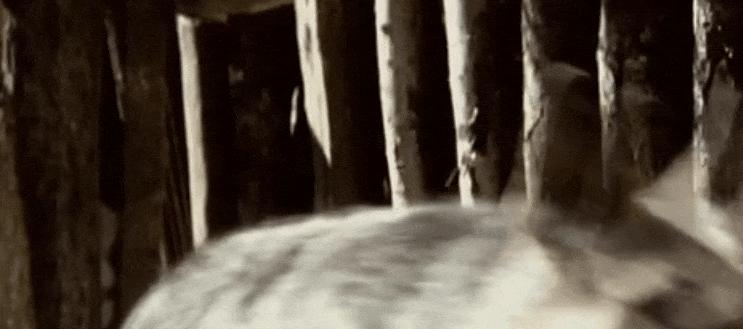 十年前被骂的电影有哪些,当年被人骂烂的电影