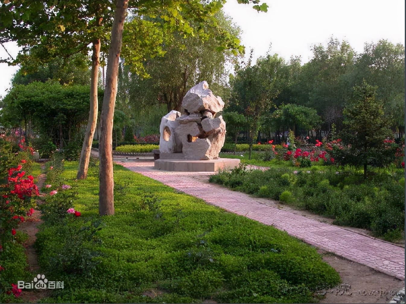 京津冀最美湿地，应用型本科大学——衡水学院