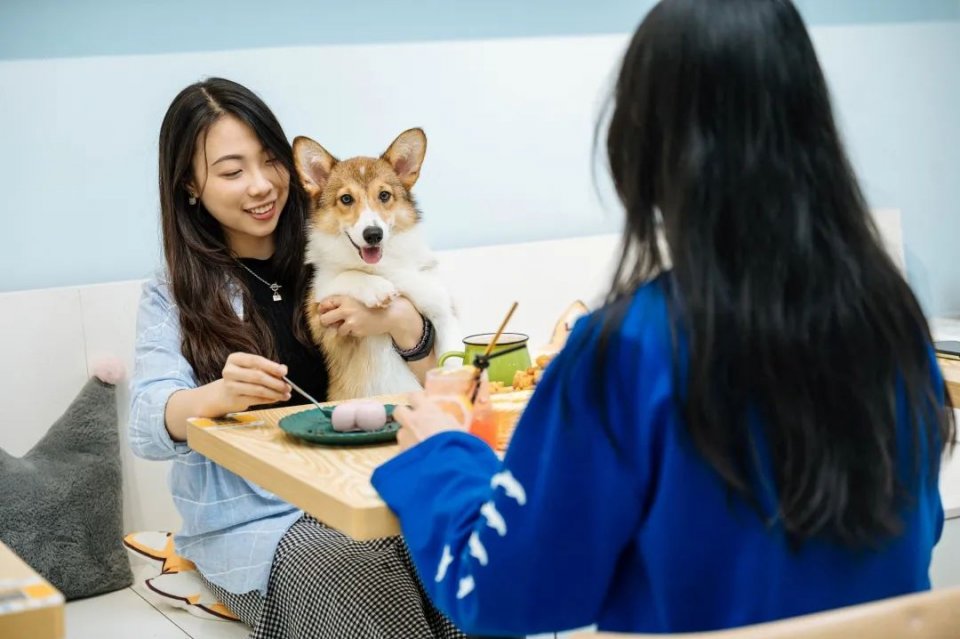 吸屁屁，短腿大耳肉嘟嘟，这家店进去就出不来了…