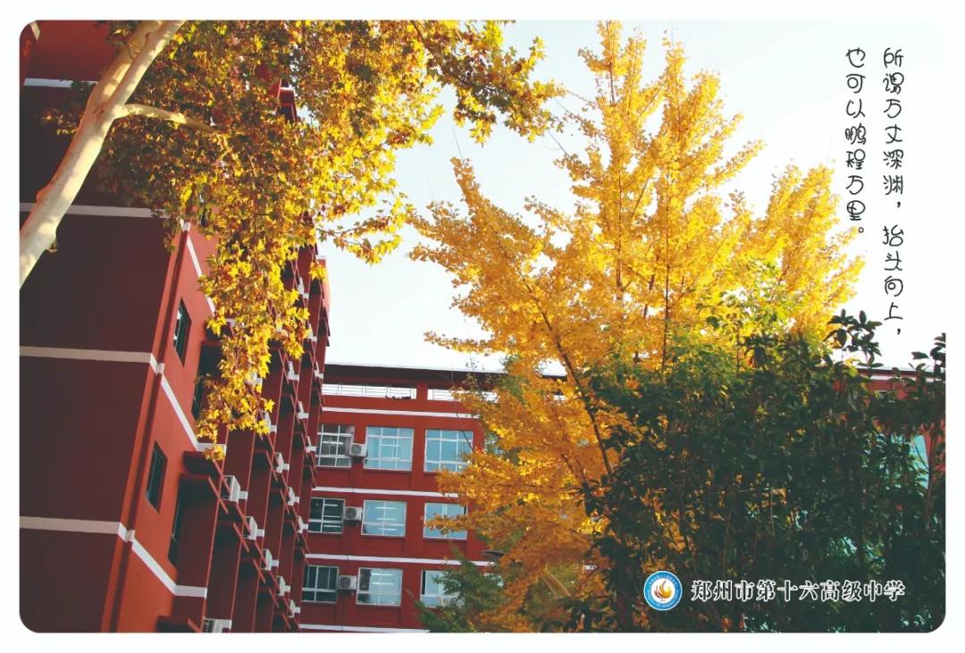 当理性之花盛开课堂，梦想就这样在郑州16中扎根