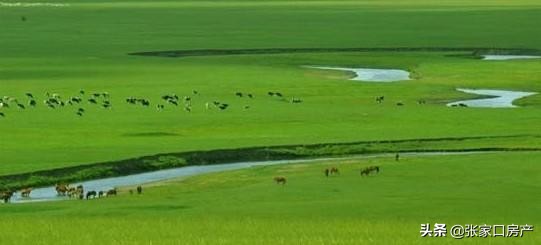 什么！坐飞机还能办“月票”?每次100元便可从张家口飞往全国