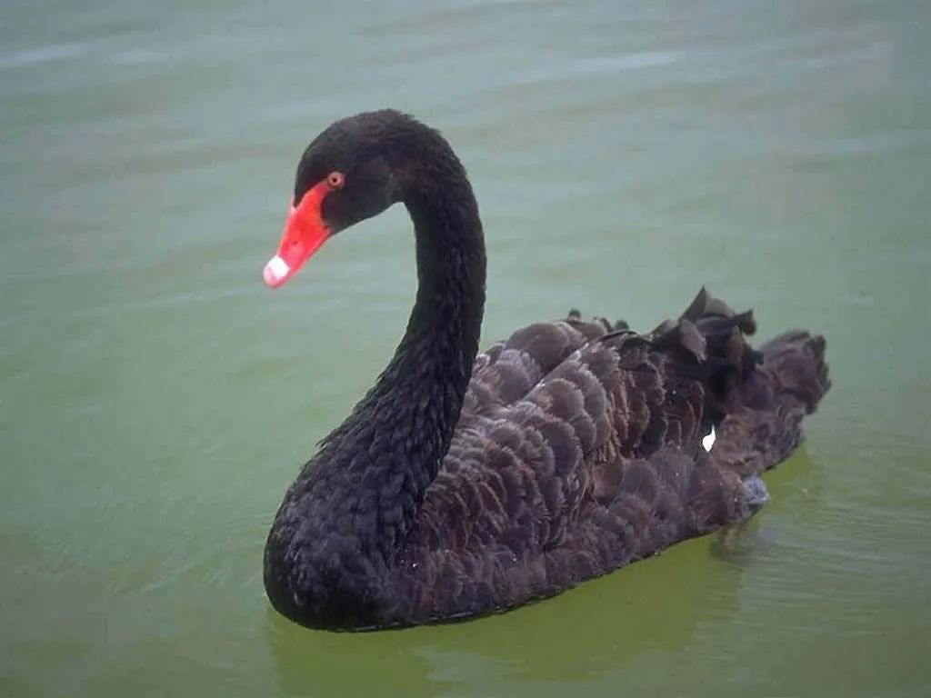 这些真相大家都要了解英语,这些事情是真的还是假的