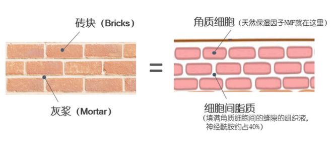 皮肤特别差最好的改善办法 (皮肤差到什么程度不能改善)
