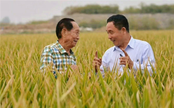 顶级科学家爱因斯坦牛顿,美国天才牛顿德国天才爱因斯坦