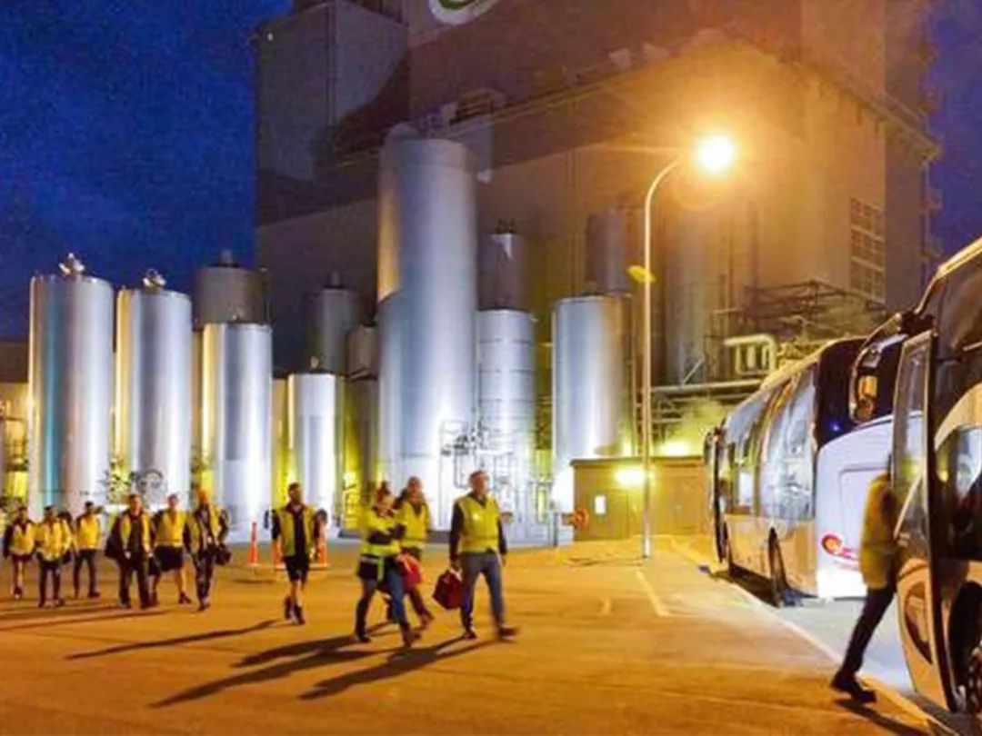 伊利新西兰牛奶,伊利未来牛奶谷基地