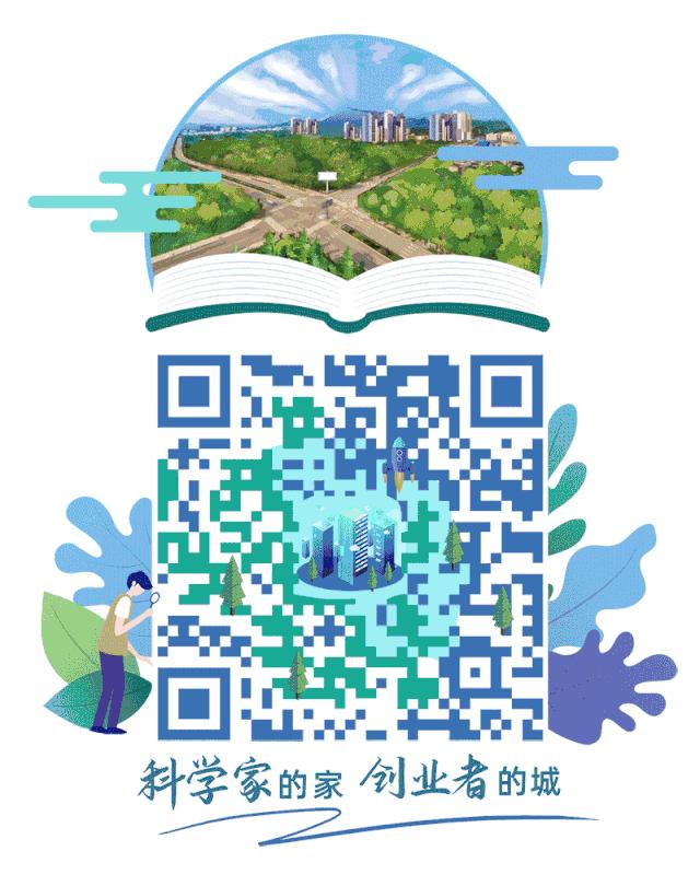 具有特色的校园体育课程,高端的小学学校有哪些体育课程