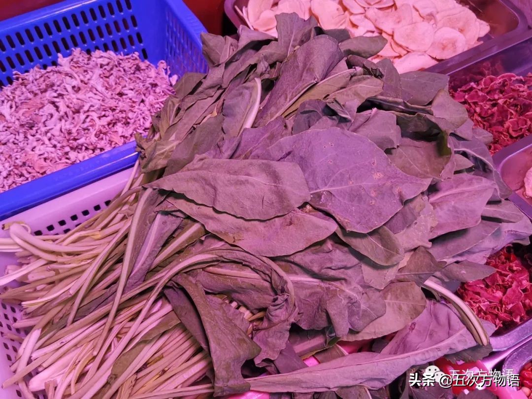 云南野菜刺五加是热的还是凉的,云南味道和刺五加类似的野菜