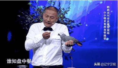 大型动物铲屎官,铲屎官为朕打下的江山猫咪