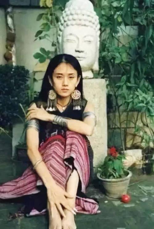 杨丽萍太阳宫查封了吗,杨丽萍太阳宫被查封