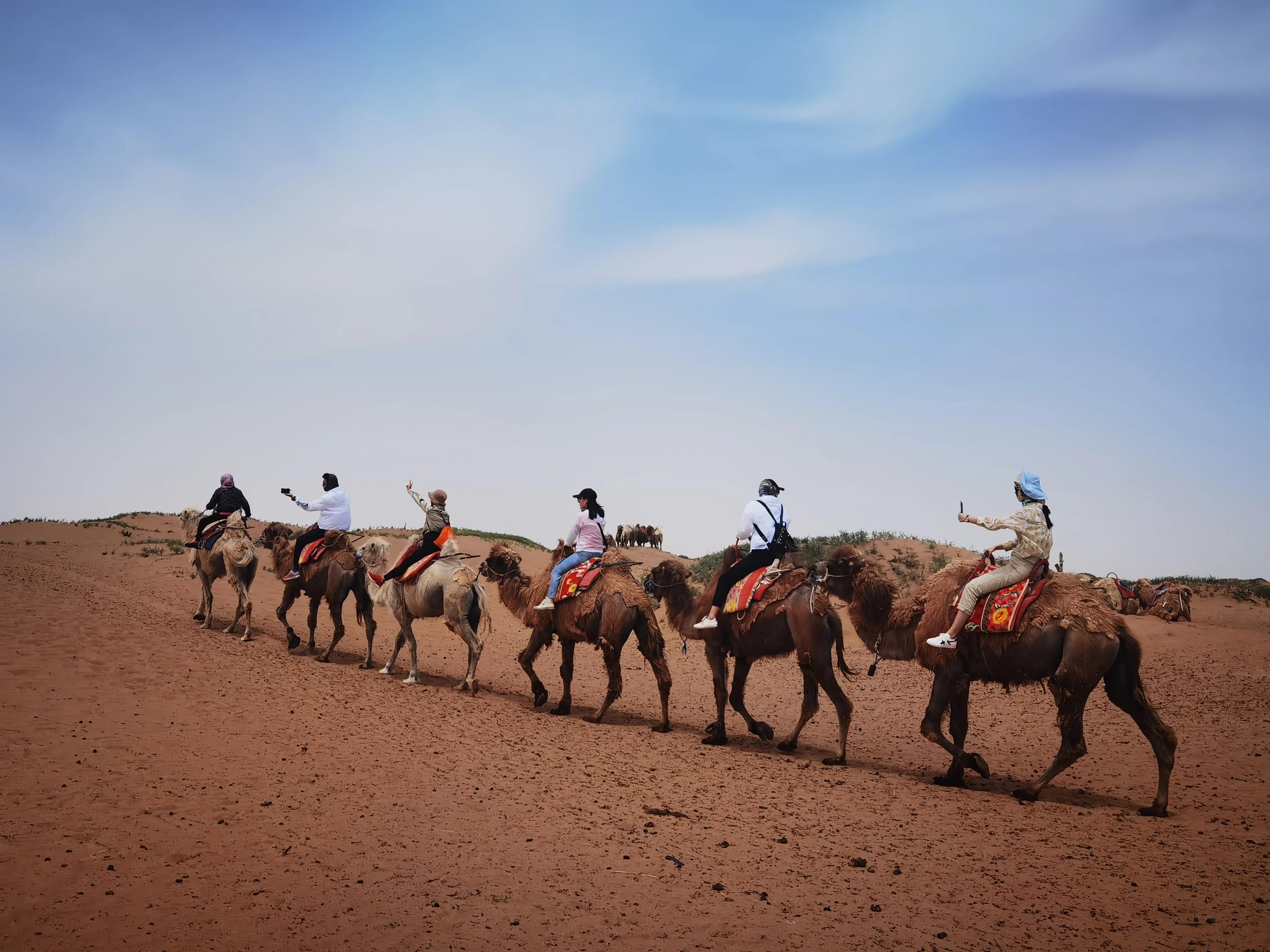 腾格里沙漠和沙坡头项目哪里划算,宁夏银川腾格里沙漠中卫沙坡头