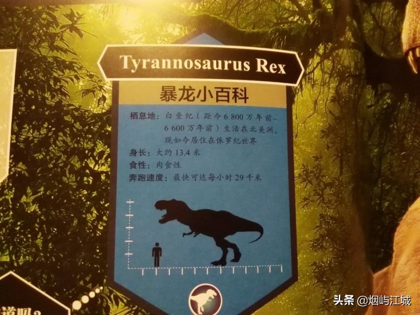 暴龙的形态,暴龙的不同形态