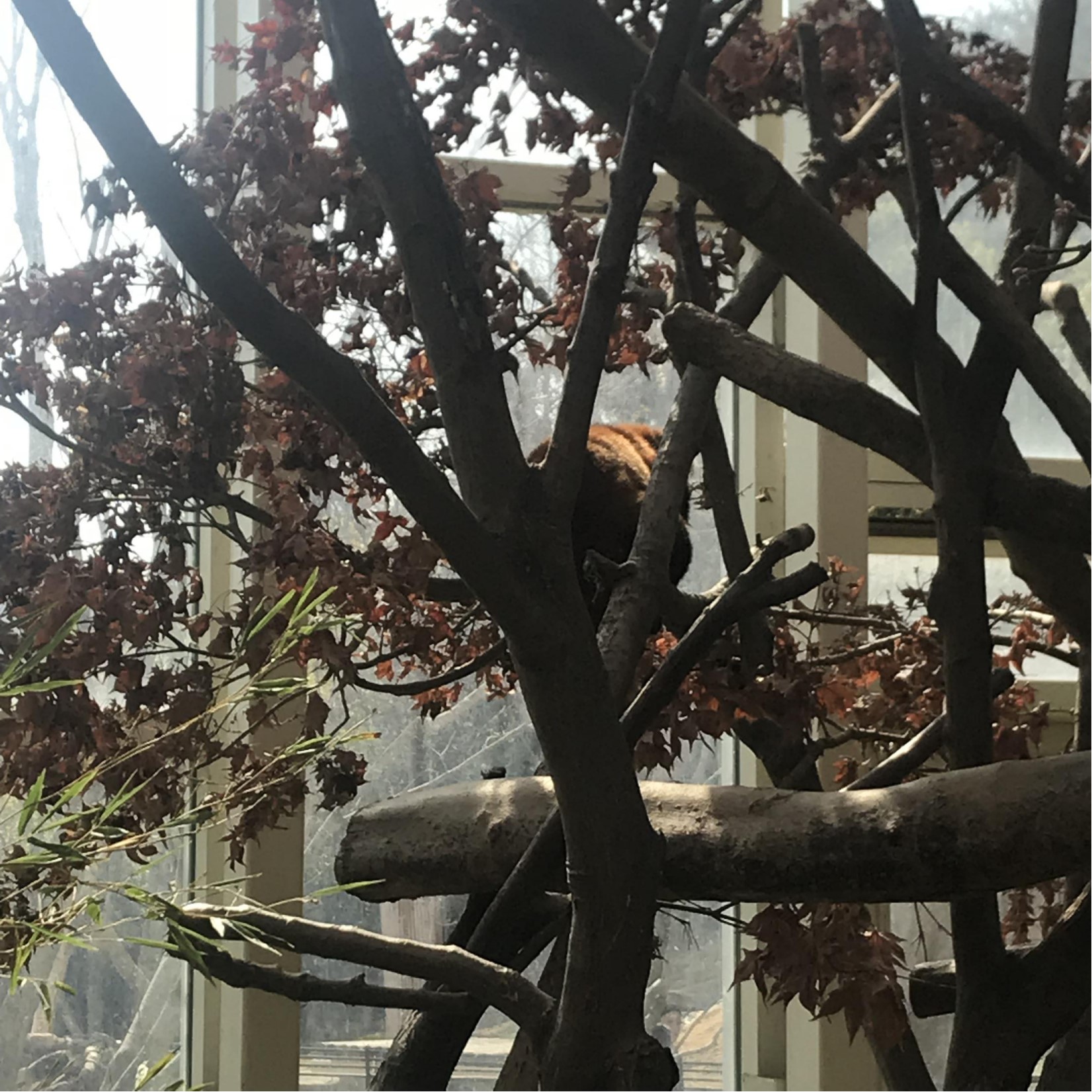 三星爱宝乐园面积,韩国爱宝乐园游乐园