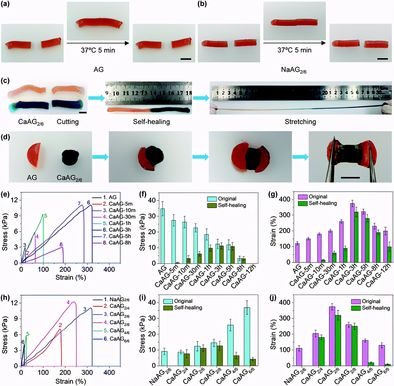 ca2+为什么能改变细胞壁的通透性,ca2+是钙离子吗