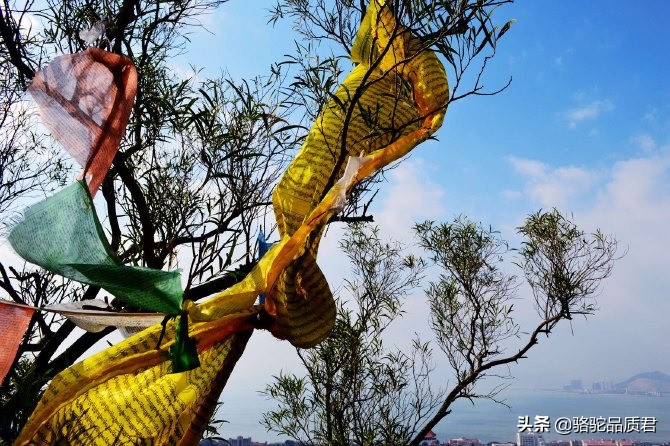 厦门海边之旅,厦门小众旅游体验