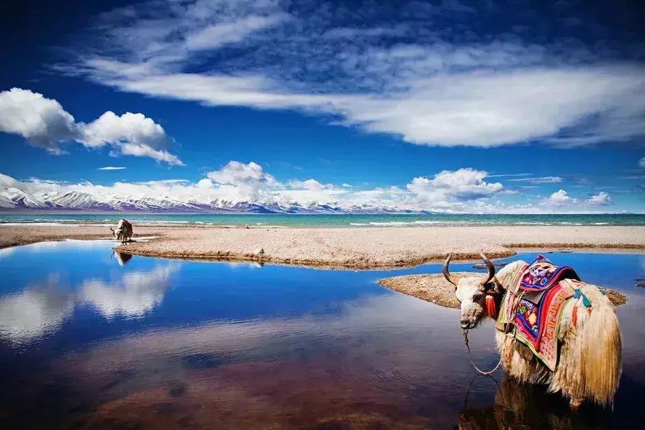 旅游特产最值得买的是什么,旅游中国有什么项目好玩的