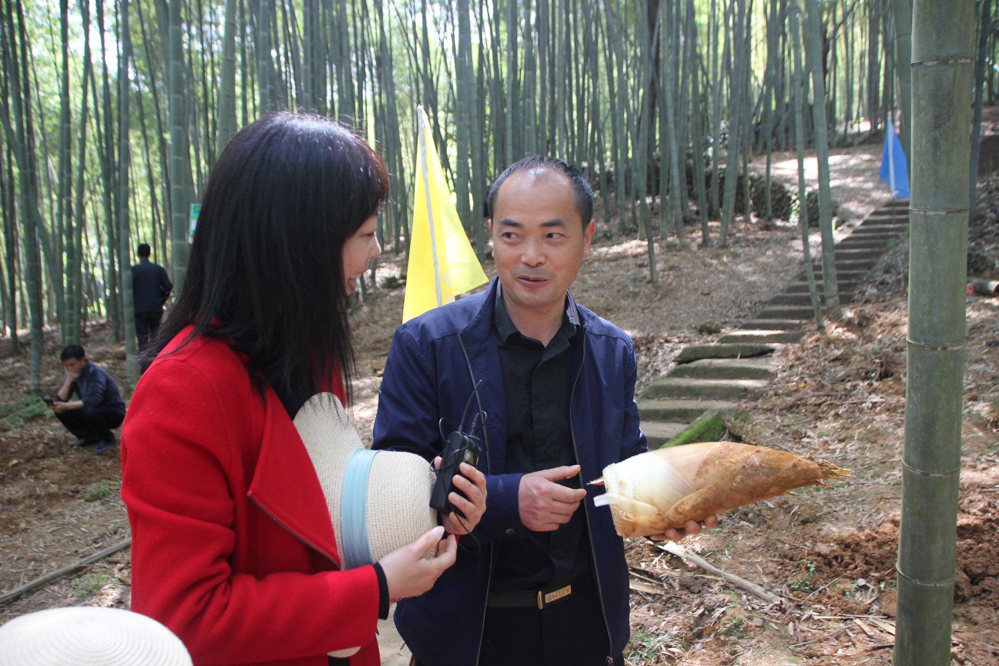 浙江临海沿江镇竹笋,临海市野生竹笋