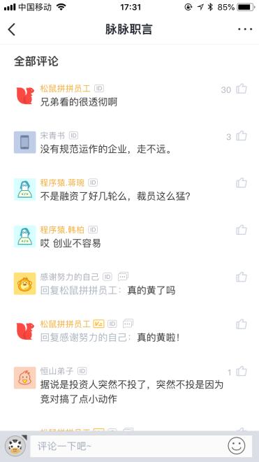 松鼠破产后的绝望,松鼠破产后续